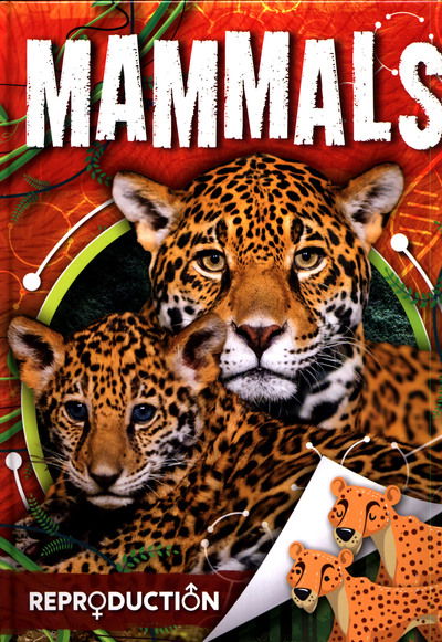 Mammals - Reproduction - Joanna Brundle - Books - BookLife Publishing - 9781786376725 - August 1, 2019