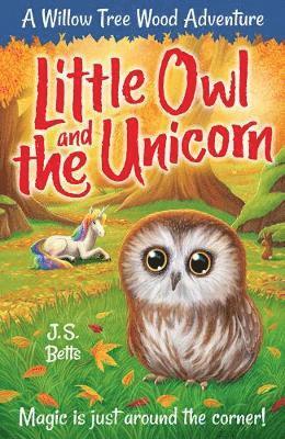 Cover for J. S. Betts · Willow Tree Wood Book 4 - Little Owl and the Unicorn - Willow Tree Wood (Paperback Book) (2021)