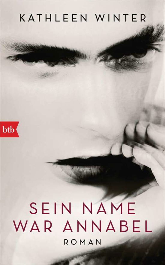 Cover for Winter · Sein Name war Annabel (Book)