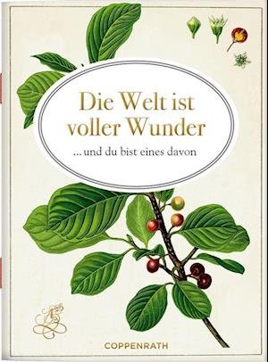 Cover for Die Welt ist voller Wunder (Buch) (2022)