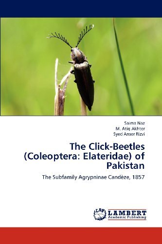 Cover for Syed Anser Rizvi · The Click-beetles (Coleoptera: Elateridae) of Pakistan: the Subfamily Agrypninae Candèze, 1857 (Paperback Bog) (2012)