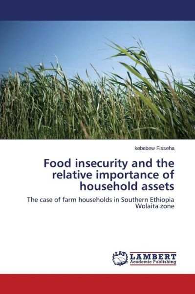 Cover for Kebebew Fisseha · Food Insecurity and the Relative Importance of Household Assets: the Case of Farm Households in Southern Ethiopia Wolaita Zone (Taschenbuch) (2014)