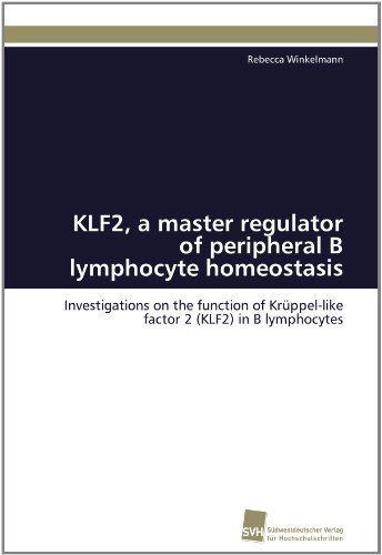 Cover for Rebecca Winkelmann · Klf2, a Master Regulator of Peripheral B Lymphocyte Homeostasis: Investigations on the Function of Krüppel-like Factor 2 (Klf2) in B Lymphocytes (Paperback Book) [German edition] (2011)