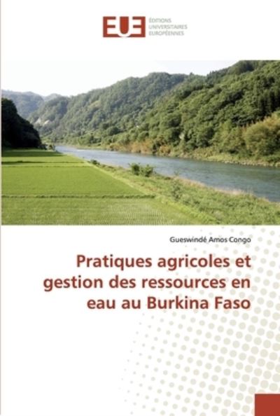 Cover for Congo · Pratiques agricoles et gestion de (Bok) (2019)