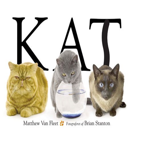 Cover for Matthew van Fleet · Kat (Hardcover Book) [1. Painos] [Hardback] (2013)