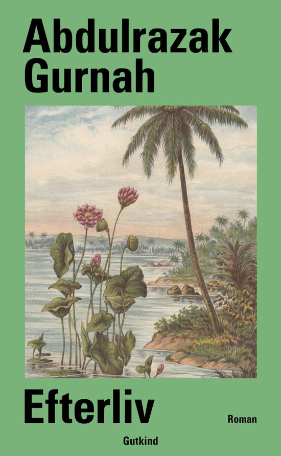 Cover for Abdulrazak Gurnah · Efterliv (Gebundesens Buch) [1. Ausgabe] (2022)