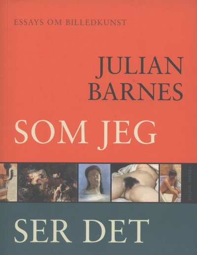 Som jeg ser det - Julian Barnes - Books - Tiderne Skifter - 9788779733725 - August 23, 2011