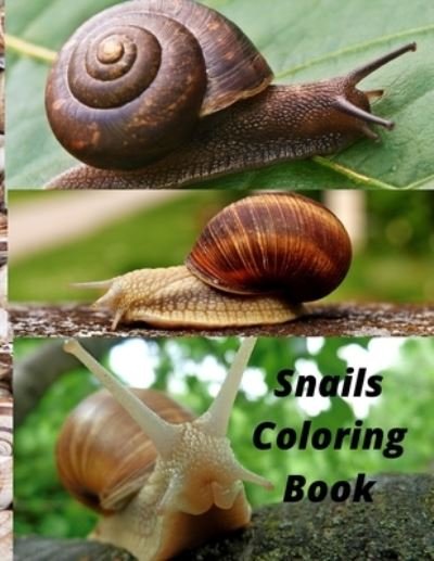 Cover for Av Publishing · Snails Coloring Book: Snail Lovers Activities Coloring Book (Paperback Bog) (2022)