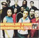 Cover for Brooklyn Funk Essentials · Make Em Like It (CD) (2000)