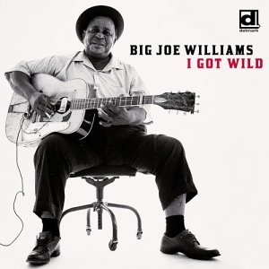 I Got Wild - Big Joe Williams - Musik - DELMARK - 0038153076726 - 25. september 2003