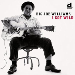 Big Joe & J.D. Short Williams · I Got Wild (CD) (2003)