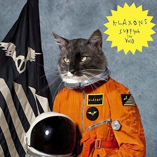 Cover for Klaxons · Surfing the Void (CD)