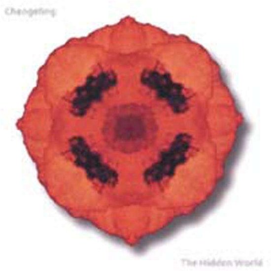 Cover for Changeling · Hidden World (CD) (2004)