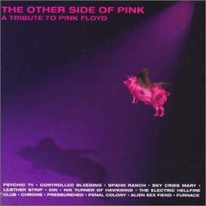 Other Side of Pink - a Tribute to Pink Floyd - Various Artists - Musik - CLEOPATRA - 0741157071726 - 5. oktober 1999