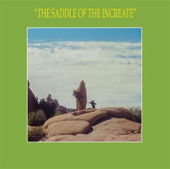 Cover for Sun Araw · Saddle Of The Increate (CD) (2017)