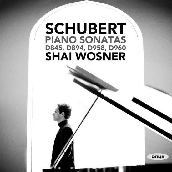 Schubert Piano Sonatas - Shai Wosner - Musik - ONYX - 0880040421726 - 20. marts 2020