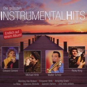 Die Grossten Instrumental Hits / Various - Die Grossten Instrumental Hits / Various - Muziek - SI / ARIOLA EXPRESS - 0886975411726 - 13 november 2009