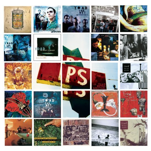 Ps: a Toad Retrospective - Toad the Wet Sprocket - Musik - SBME STRATEGIC MARKETING GROUP - 0886977136726 - 9 november 1999