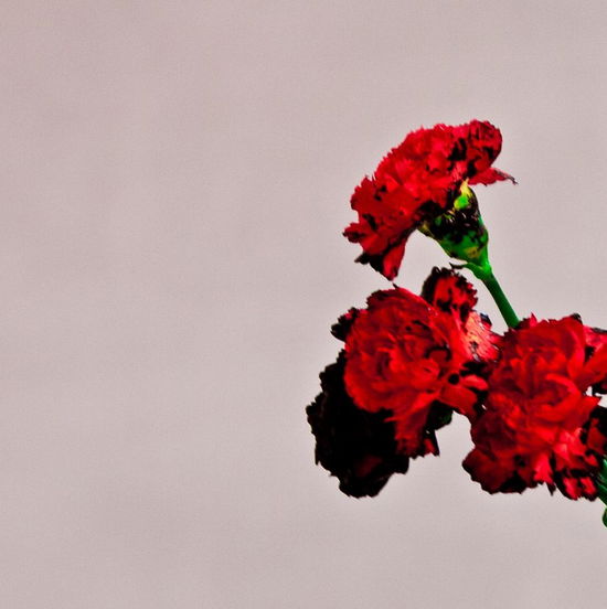 Love in the Future - John Legend - Música - G.O.O - 0888837317726 - 2 de septiembre de 2013