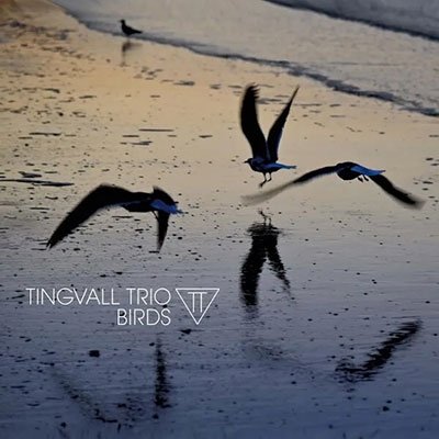 Birds - Tingvall Trio - Musikk - SKIP - 4037688919726 - 4. august 2023