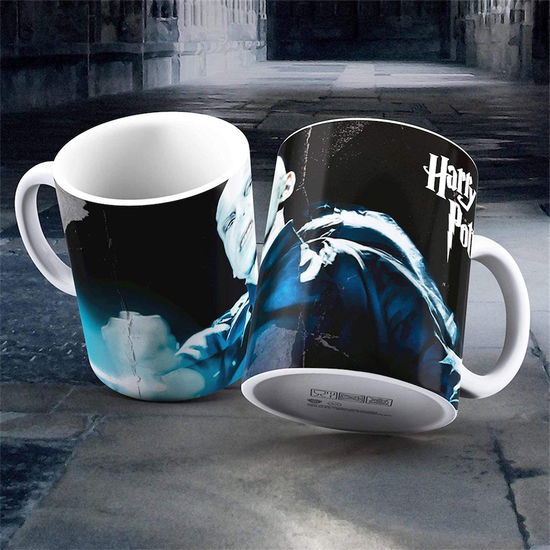 Cover for Sd Toys · Harry Potter: Voldemort White Mug (N/A)