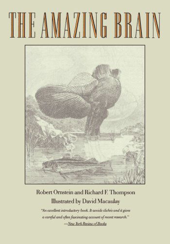 The Amazing Brain - Richard Thompson - Bøger - Mariner Books - 9780395585726 - 15. juli 1991