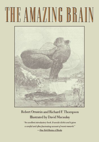 Cover for Richard Thompson · The Amazing Brain (Paperback Bog) (1991)