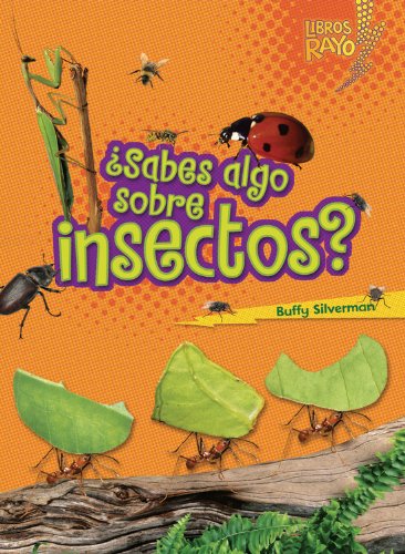 Cover for Buffy Silverman · ..sabes Algo Sobre Insectos?/ Do You Know About Insects? (Libros Rayo - Conoce Los Grupos De Animales /lightning Bolt Books T - Meet the Animal Groups)) (Paperback Book) [Spanish edition] (2012)