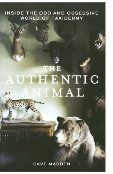 Cover for Dave Madden · Authentic Animal Inside the Odd and Obsessive World of Taxidermy (Buch) (2012)