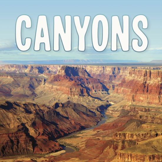 Cover for Lisa J. Amstutz · Canyons - Earth's Landforms (Inbunden Bok) (2021)