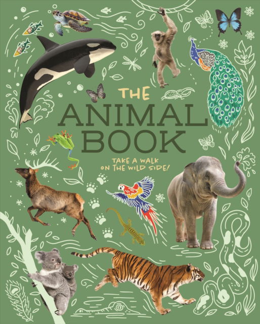 The Animal Book: Take a Walk on the Wild Side! - Children's Discovery Library - Dr Michael Leach - Books - Arcturus Publishing Ltd - 9781398835726 - October 1, 2024