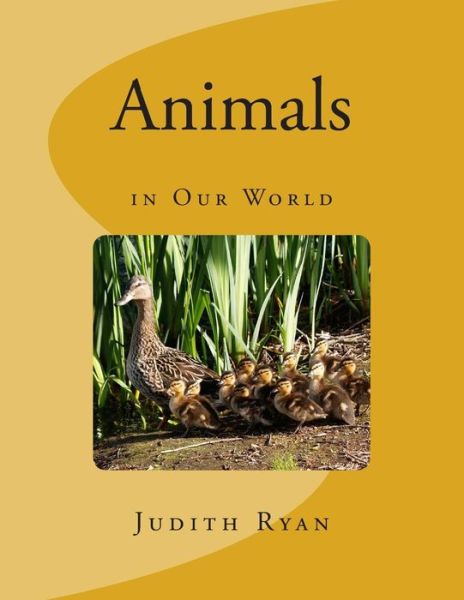 Cover for Judith Ryan · Animals in Our World (Paperback Book) (2015)