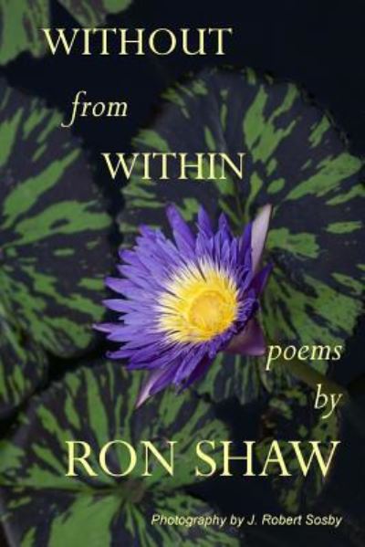 Cover for Ron Shaw · Without From Within (Paperback Book) (2016)