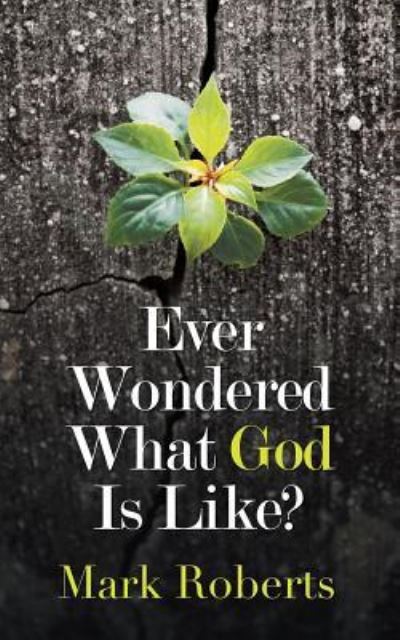 Ever Wondered What God Is Like? - Mark Roberts - Books - Partridge Publishing Singapore - 9781543745726 - April 27, 2018