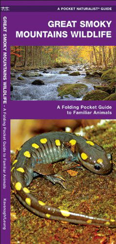 Cover for James Kavanagh · Great Smoky Mountains Wildlife: a Folding Pocket Guide to Familiar Species (Pocket Naturalist Guide Series) (Pamphlet) [Fol Lam Ch edition] (2018)