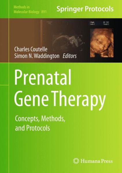 Cover for Charles Coutelle · Prenatal Gene Therapy: Concepts, Methods, and Protocols - Methods in Molecular Biology (Hardcover Book) [2012 edition] (2012)
