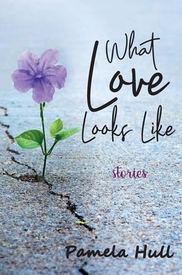 Cover for Pamela Hull · What Love Looks Like (Paperback Book) (2021)