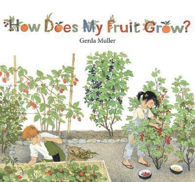 Cover for Gerda Muller · How Does My Fruit Grow? (Hardcover Book) (2018)