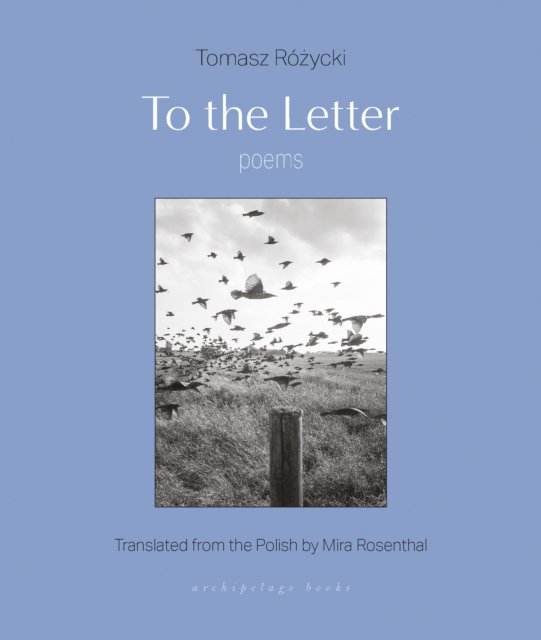 Cover for Tomasz Rozycki · To the Letter: Poems (Paperback Book) (2024)