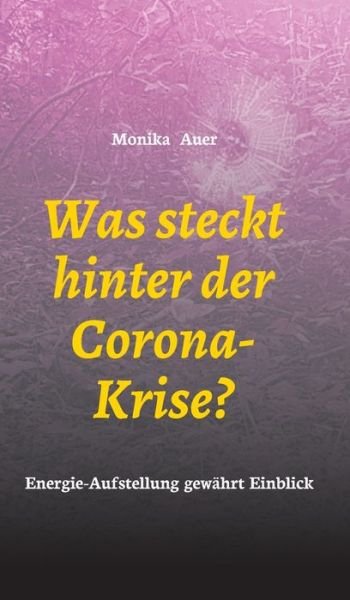 Cover for Auer · Was steckt hinter der Corona-Krise (Bog) (2020)