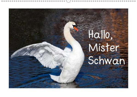 Cover for Kramer · Hallo, Mister Schwan (Wandkalend (Bog)