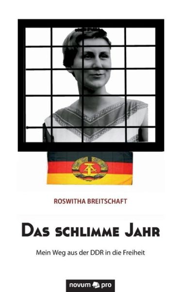 Cover for Roswith Breitschaft · Das Schlimme Jahr (Paperback Book) (2016)