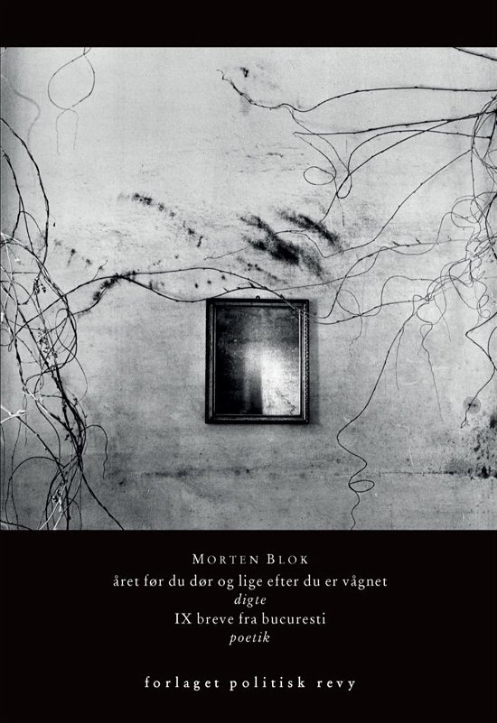 Cover for Morten Blok · året før du dør og lige efter du er vågnet (Taschenbuch) [1. Ausgabe] (2016)