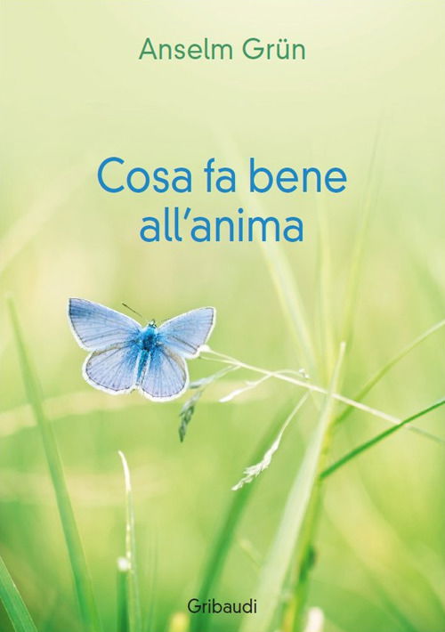 Cosa Fa Bene All'Anima - Anselm Grun - Books -  - 9788863662726 - 