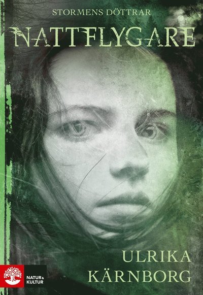 Cover for Ulrika Kärnborg · Nattflygare : Stormens döttrar (1) (Bound Book) (2022)