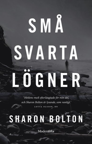 Små svarta lögner - Sharon Bolton - Bøger - Modernista - 9789177012726 - 12. august 2016