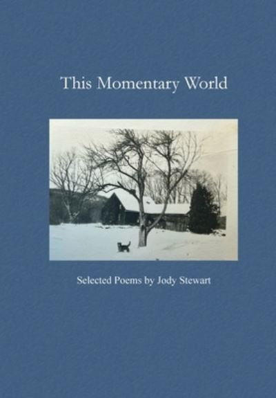 Cover for Jody Stewart · This Momentary World (Paperback Book) (2022)