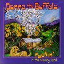 Cover for Donna the Buffalo · Rockin in Weary Land (CD) (1998)