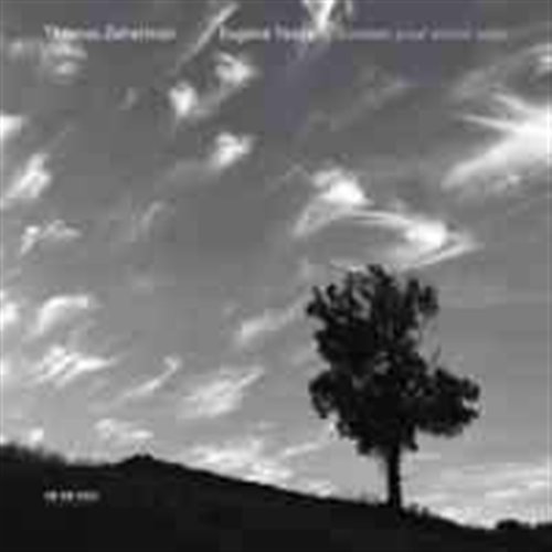 Cover for Ysaye / Zehetmair · Sonatas for Solo Violin (CD) (2004)