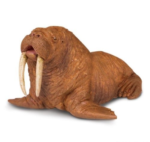 Cover for Safari · 248729 - Sea Life Walrus Miniatur (Legetøj)